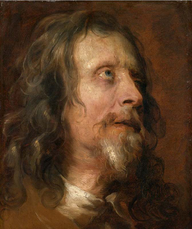 portrait study of a bearded man